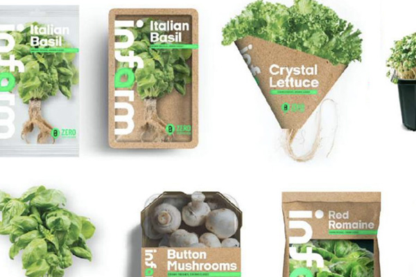 Suzy Monford leads Kroger's effort to develop the future of food